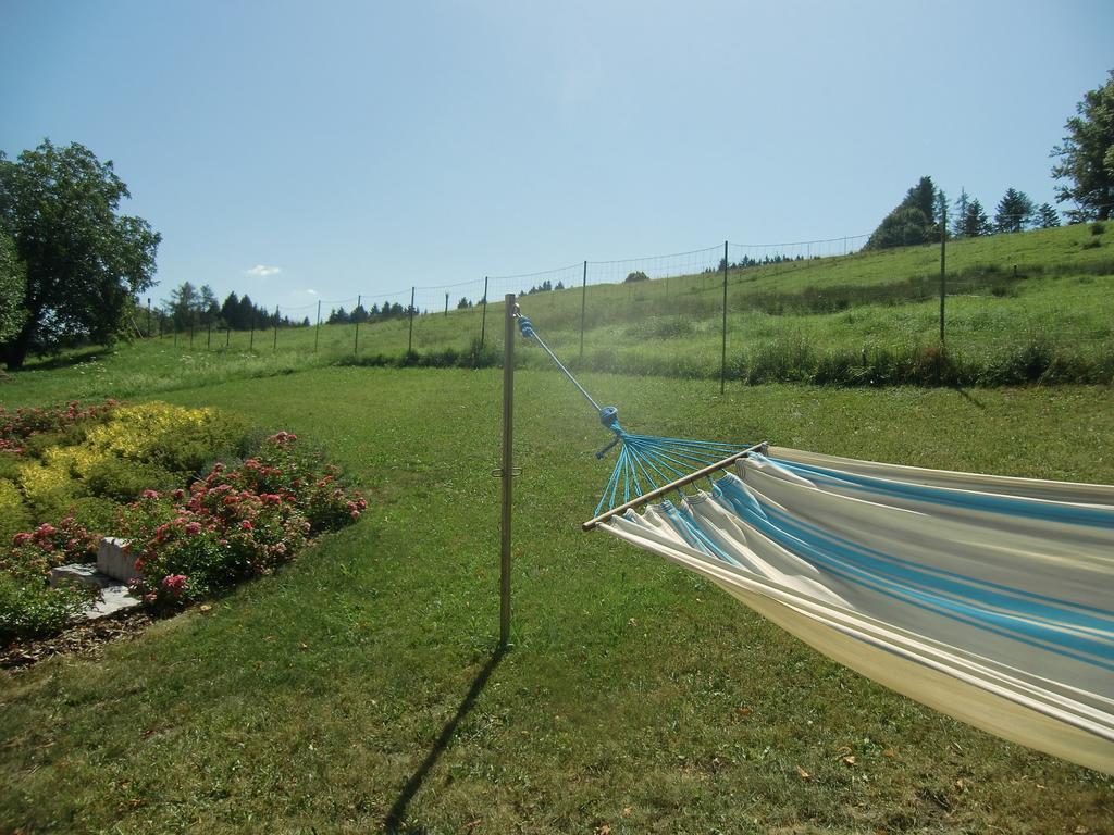 Ferienwohnungen Jodlbauerhof Weyregg Exteriör bild